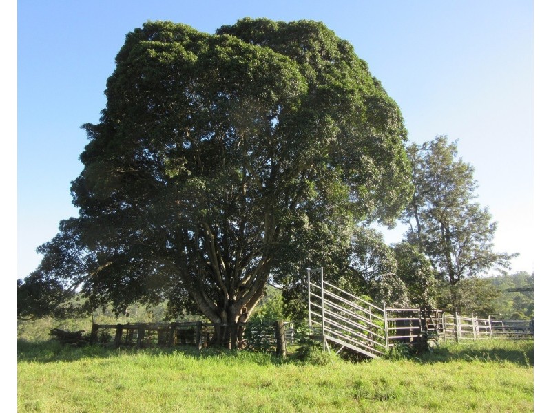 263 Dunns Road, Doubtful Creek NSW 2470