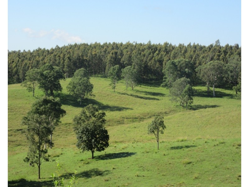 263 Dunns Road, Doubtful Creek NSW 2470