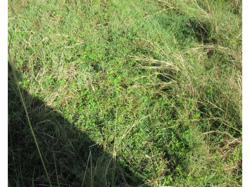 263 Dunns Road, Doubtful Creek NSW 2470