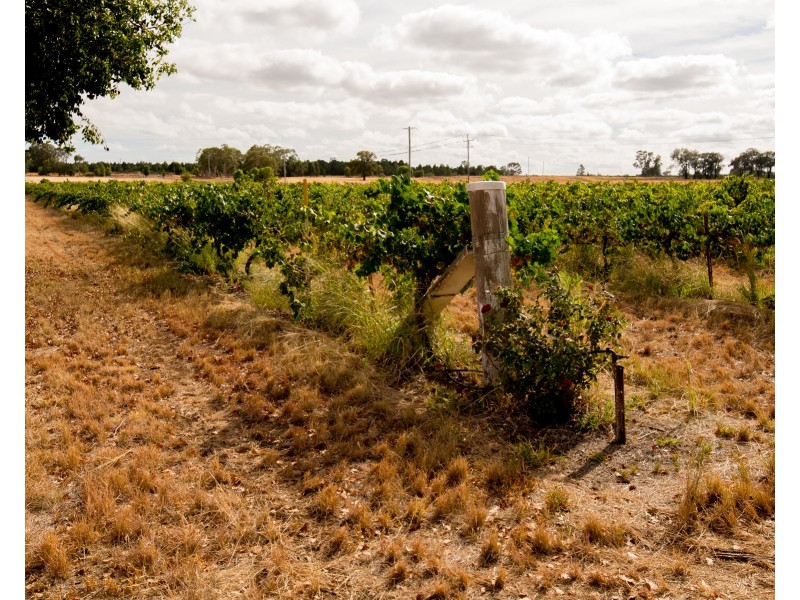 5R Basalt Road, Dubbo NSW 2830