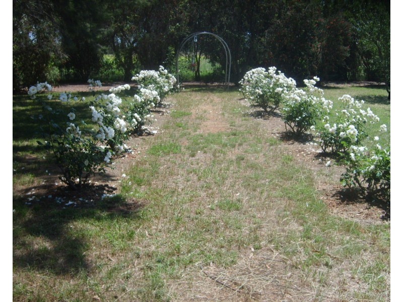 5R Basalt Road, Dubbo NSW 2830