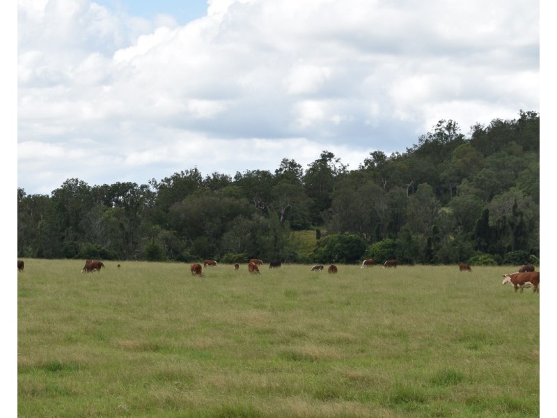 2066 Sextonville Road, Casino NSW 2470