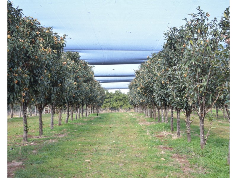 1190 Hogarth Range Road, Hogarth Range NSW 2469