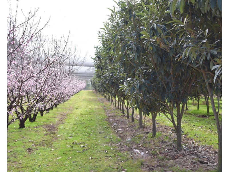 1190 Hogarth Range Road, Hogarth Range NSW 2469