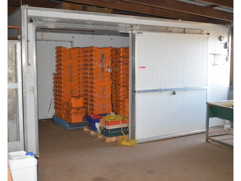 1190 Hogarth Range Road, Hogarth Range NSW 2469