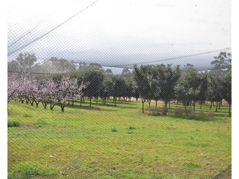 1190 Hogarth Range Road, Hogarth Range NSW 2469