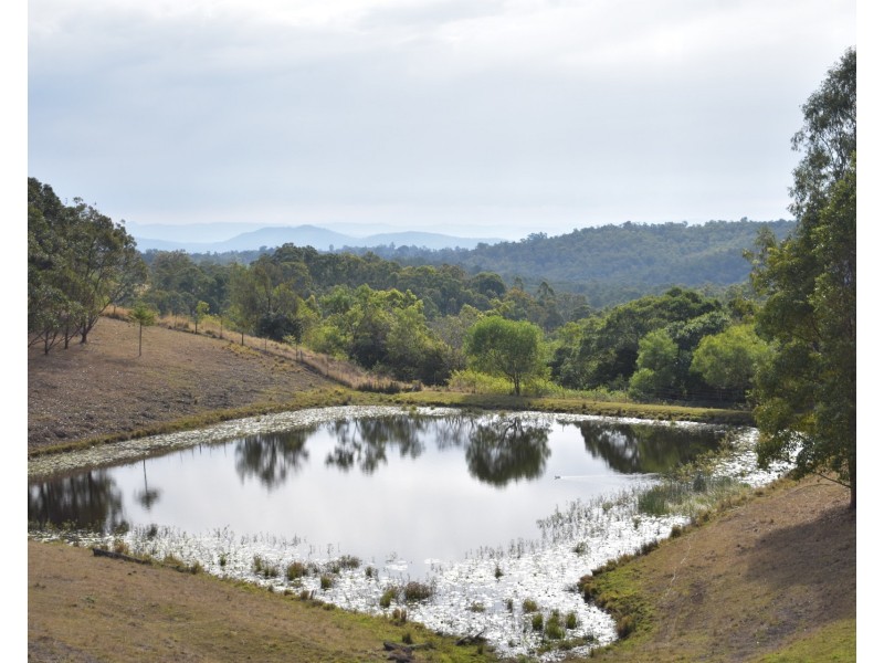 1190 Hogarth Range Road, Hogarth Range NSW 2469