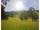 77 Sandiland Street, Bonalbo NSW 2469