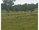 77 Sandiland Street, Bonalbo NSW 2469