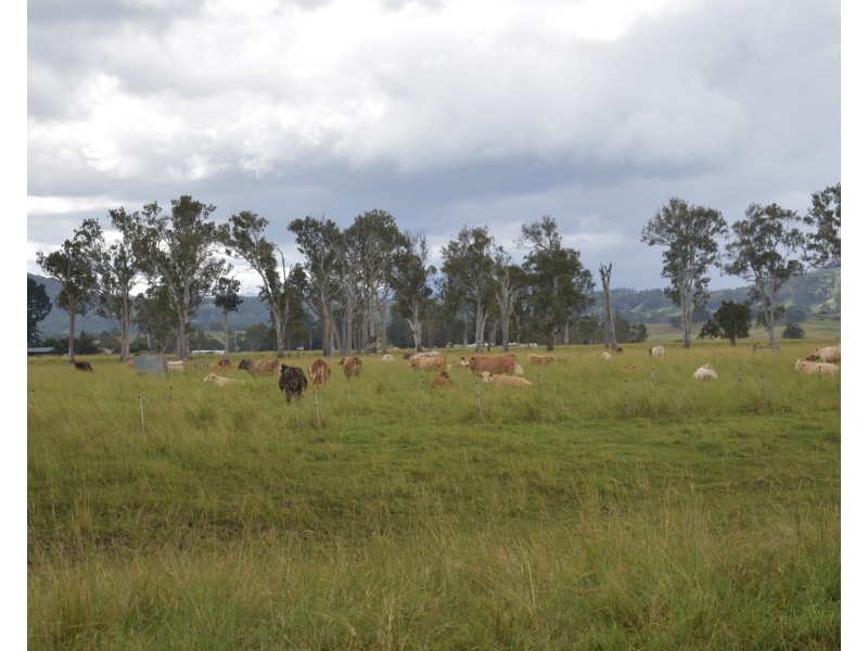 12568 Summerland Way, Cedar Point NSW 2474