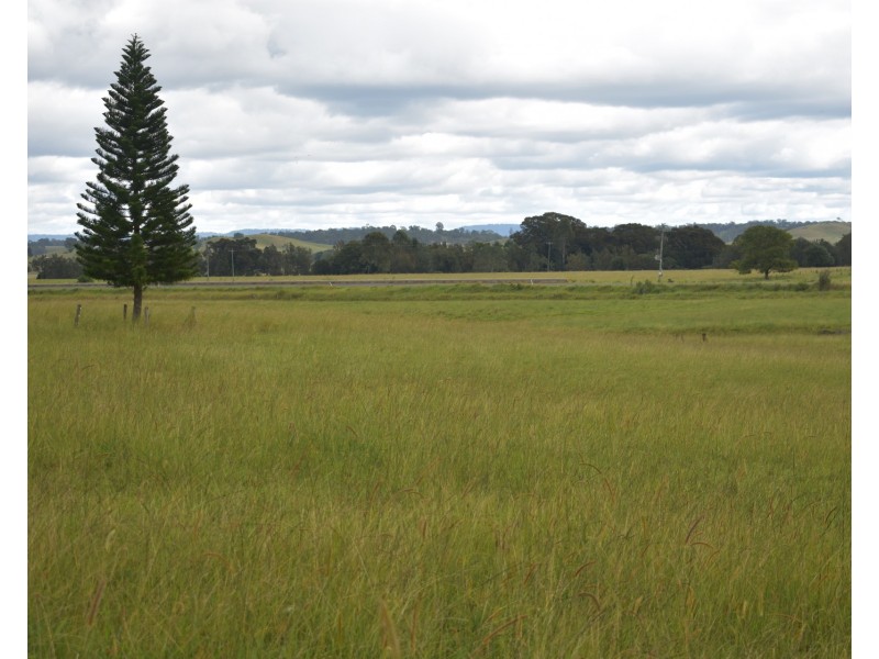 12568 Summerland Way, Cedar Point NSW 2474