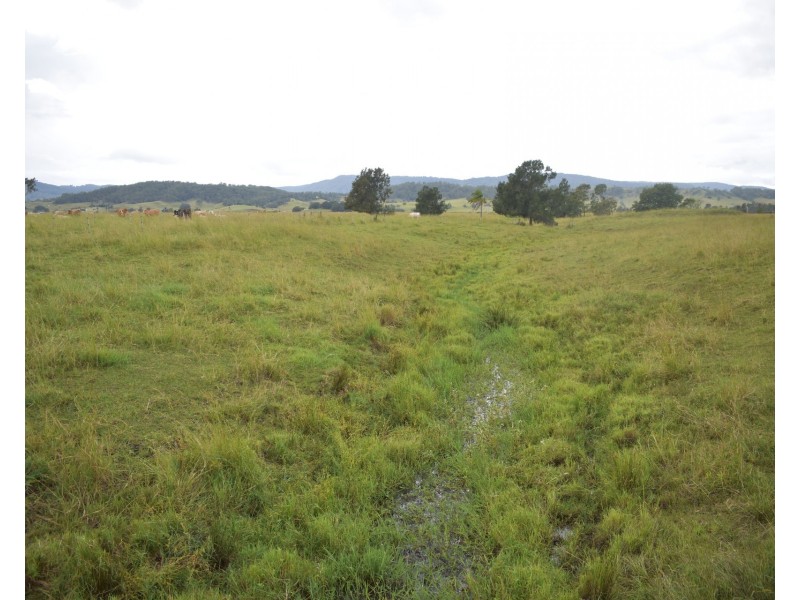 12568 Summerland Way, Cedar Point NSW 2474