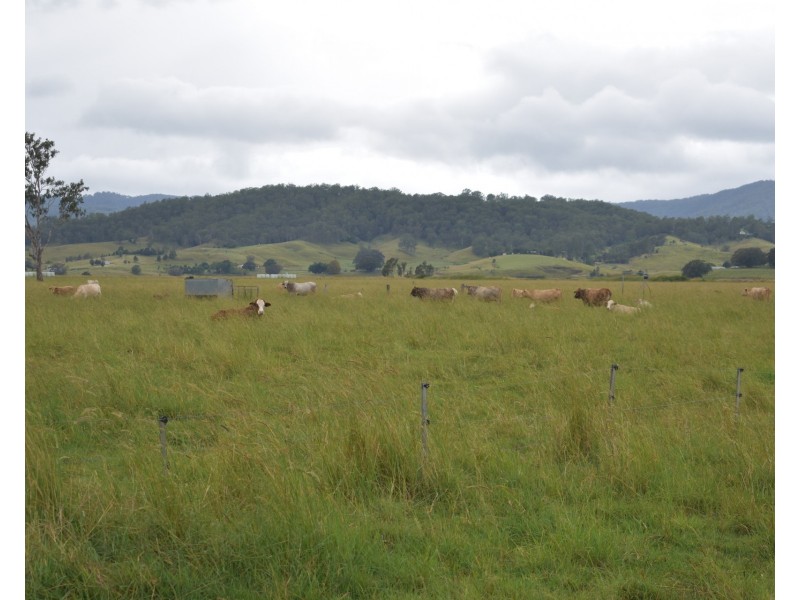 12568 Summerland Way, Cedar Point NSW 2474