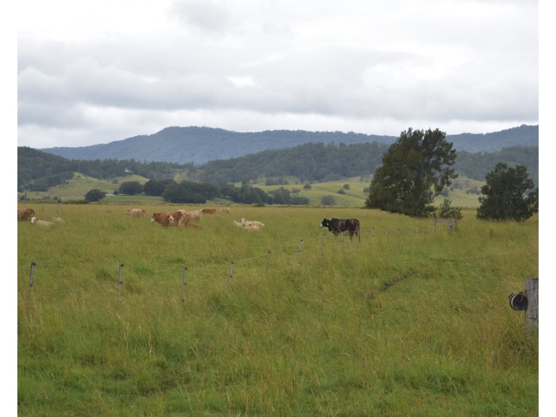 12568 Summerland Way, Cedar Point NSW 2474