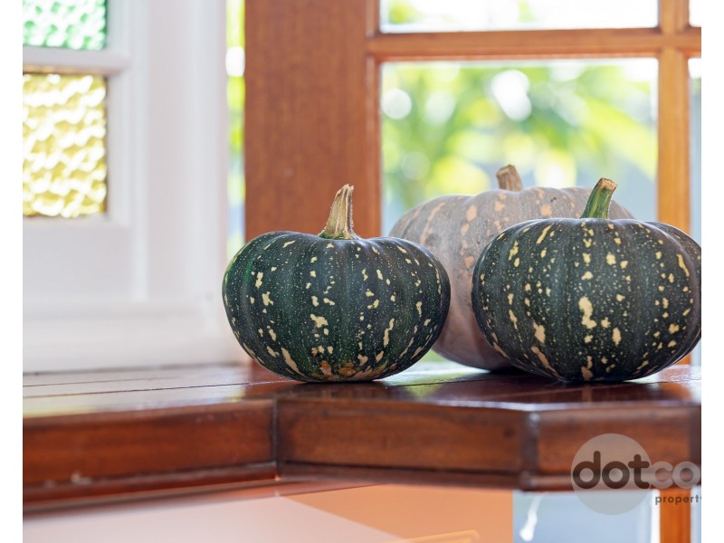 36 Kerr Street, Mayfield NSW 2304