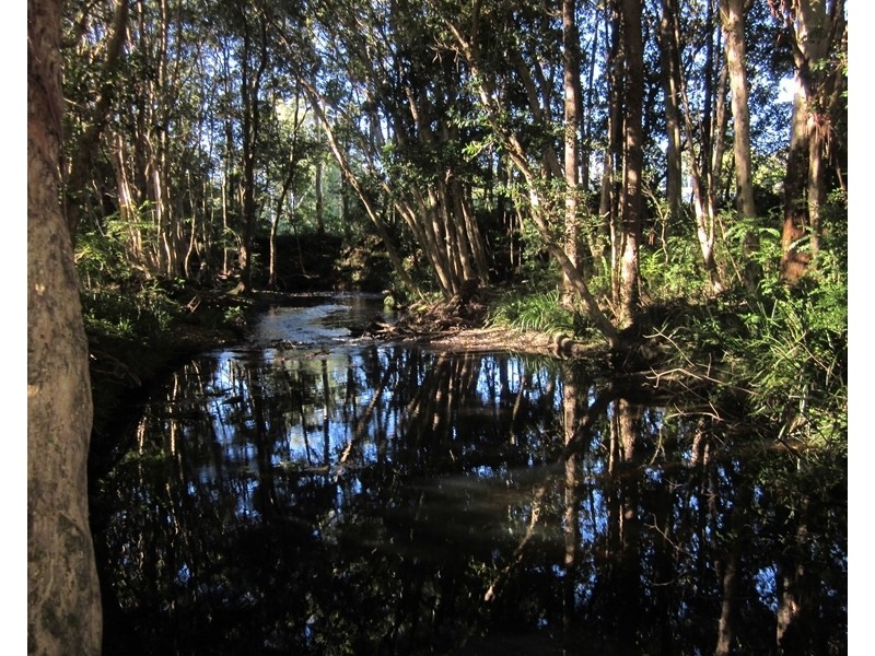 Lot 2 173 Braford Drive, Bonville NSW 2441