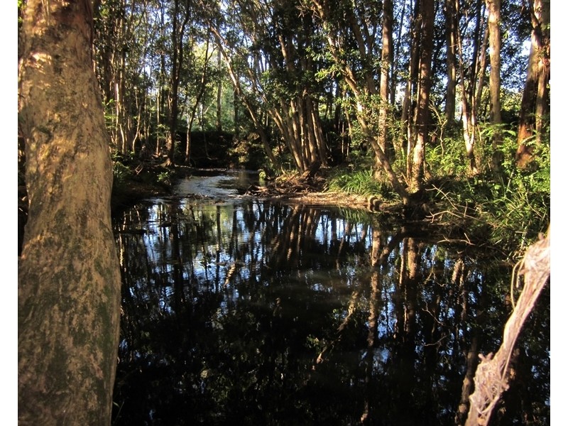 Lot 2 173 Braford Drive, Bonville NSW 2441