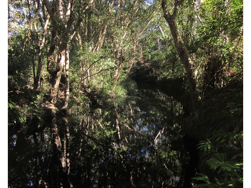 Lot 2 173 Braford Drive, Bonville NSW 2441