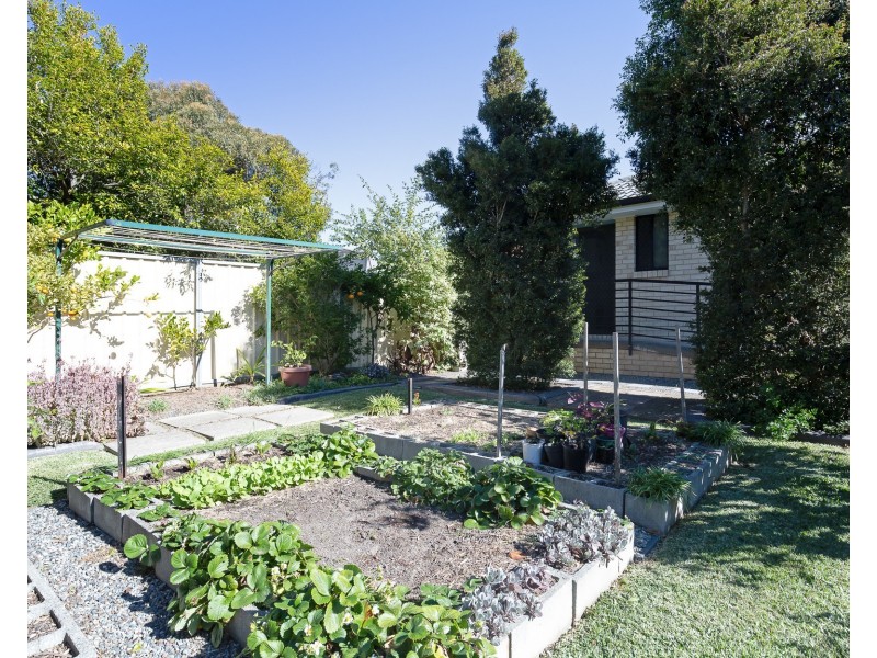 11 Crest Road, Wallsend NSW 2287