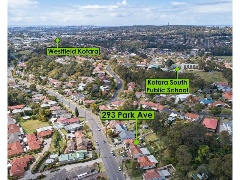 293 Park Avenue, Kotara NSW 2289