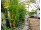 82 Bryant Street, Adamstown NSW 2289