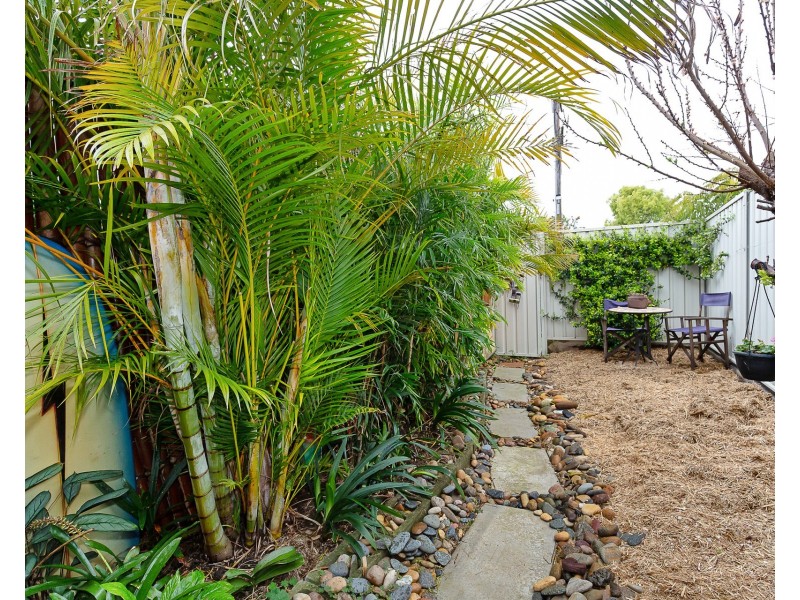 82 Bryant Street, Adamstown NSW 2289