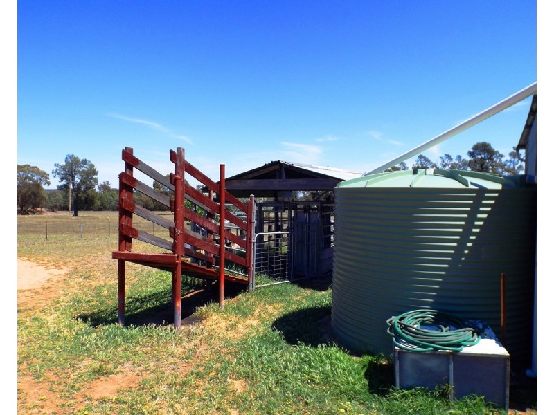 447 Dilladerry Road, Tomingley NSW 2869