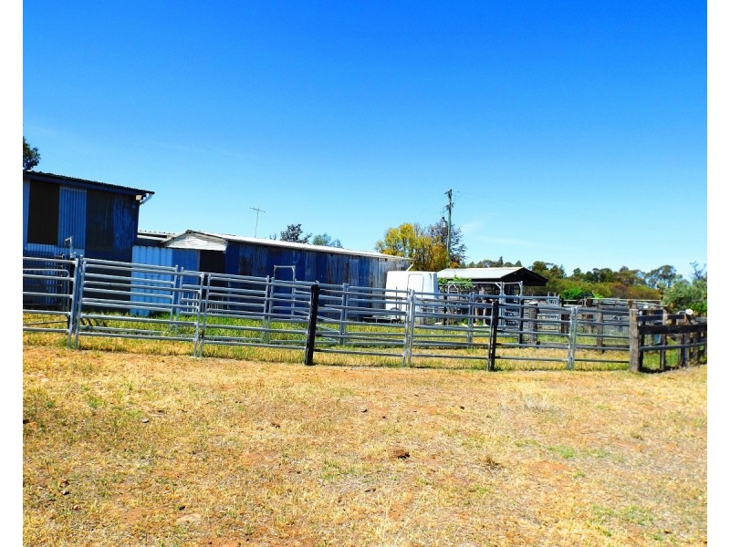 447 Dilladerry Road, Tomingley NSW 2869