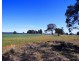 447 Dilladerry Road, Tomingley NSW 2869