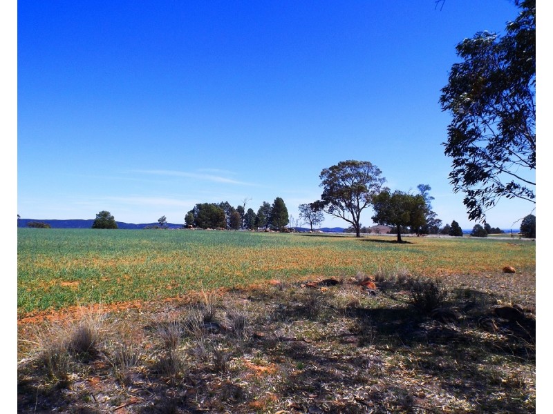 447 Dilladerry Road, Tomingley NSW 2869