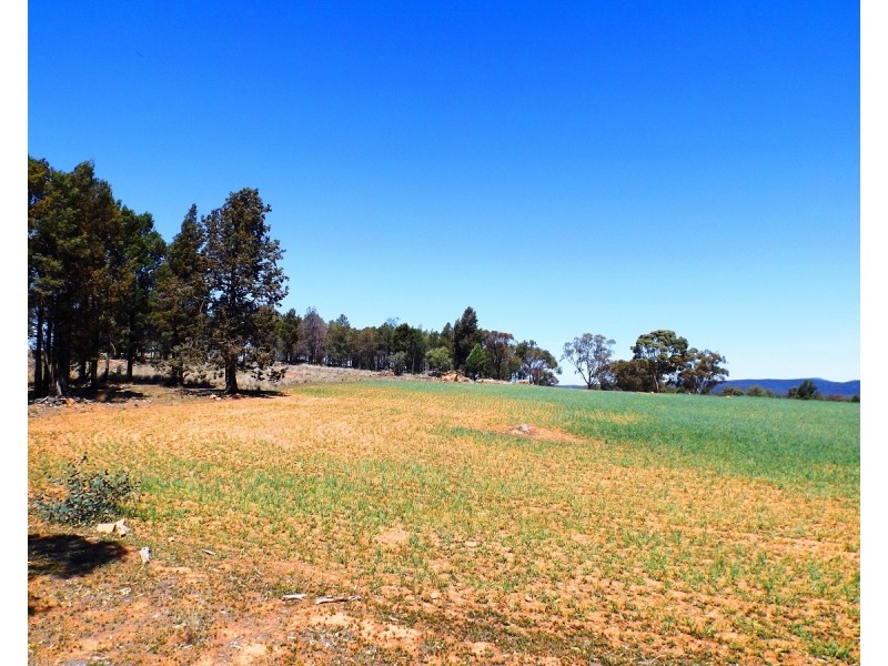 447 Dilladerry Road, Tomingley NSW 2869