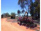 447 Dilladerry Road, Tomingley NSW 2869
