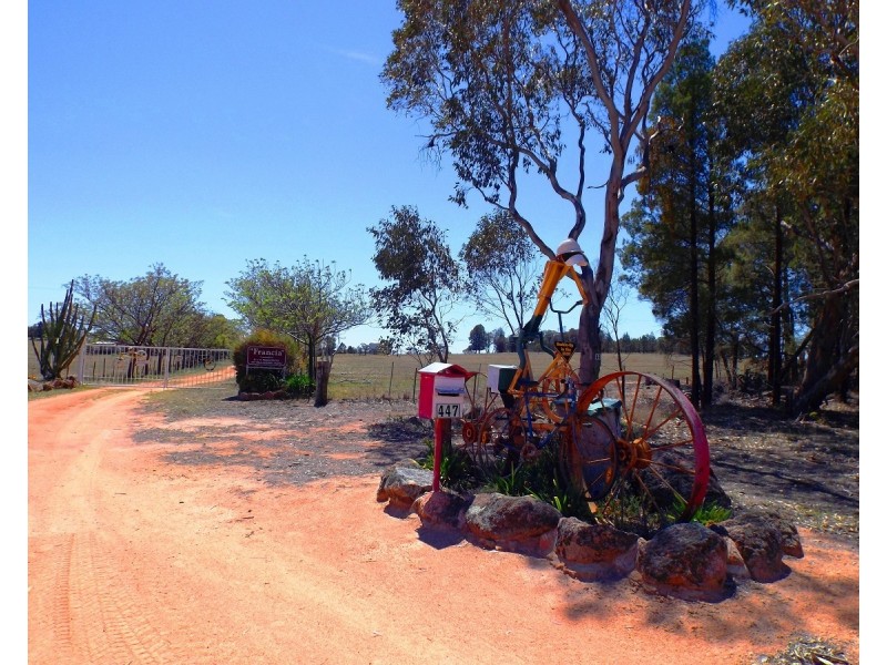 447 Dilladerry Road, Tomingley NSW 2869