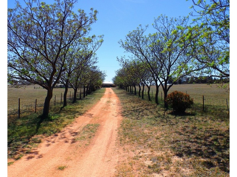 447 Dilladerry Road, Tomingley NSW 2869