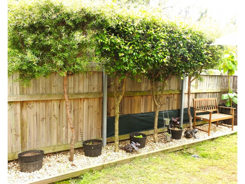 24/2 Weir Drive, Upper Coomera QLD 4209