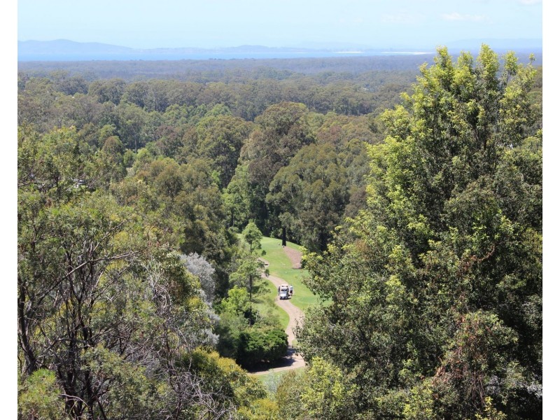 7 Cape View Way, Tallwoods Village NSW 2430