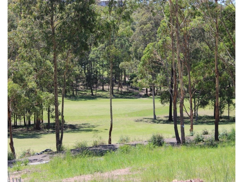 24 Illusions Court, Tallwoods Village NSW 2430