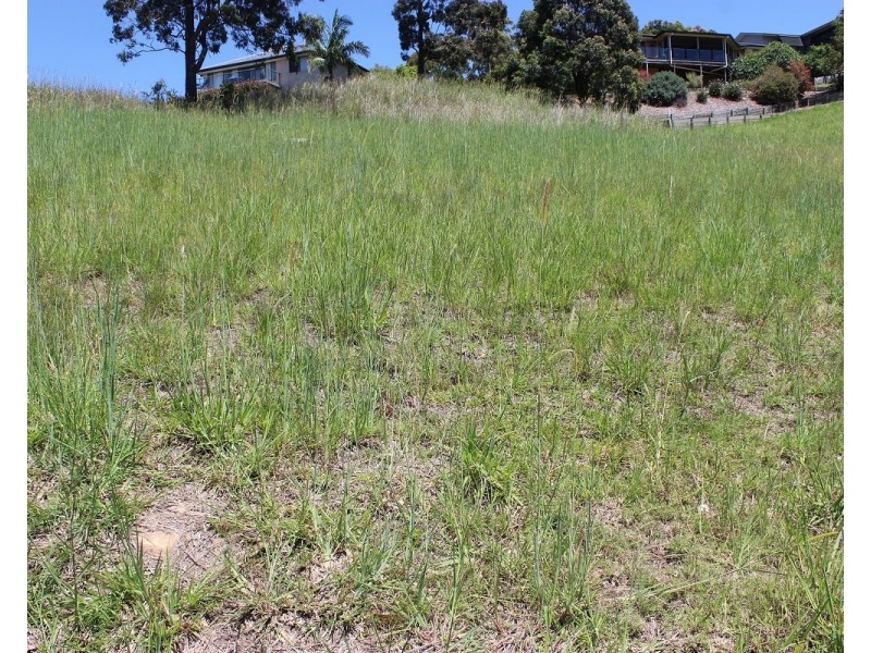 24 Illusions Court, Tallwoods Village NSW 2430