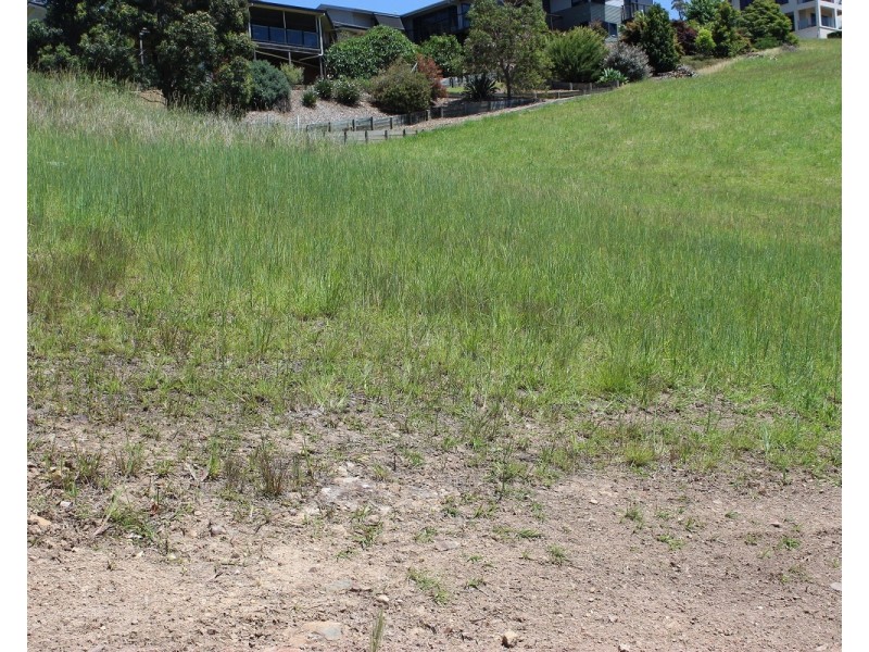 24 Illusions Court, Tallwoods Village NSW 2430