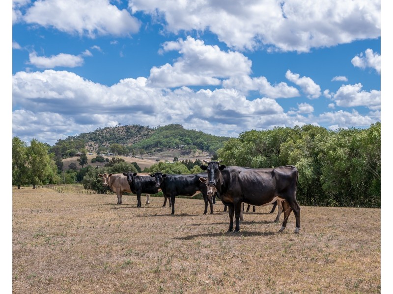 46 Aberglasslyn Lane, Aberglasslyn NSW 2320