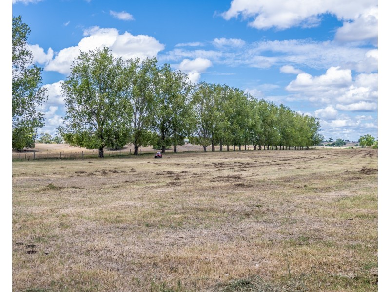 46 Aberglasslyn Lane, Aberglasslyn NSW 2320