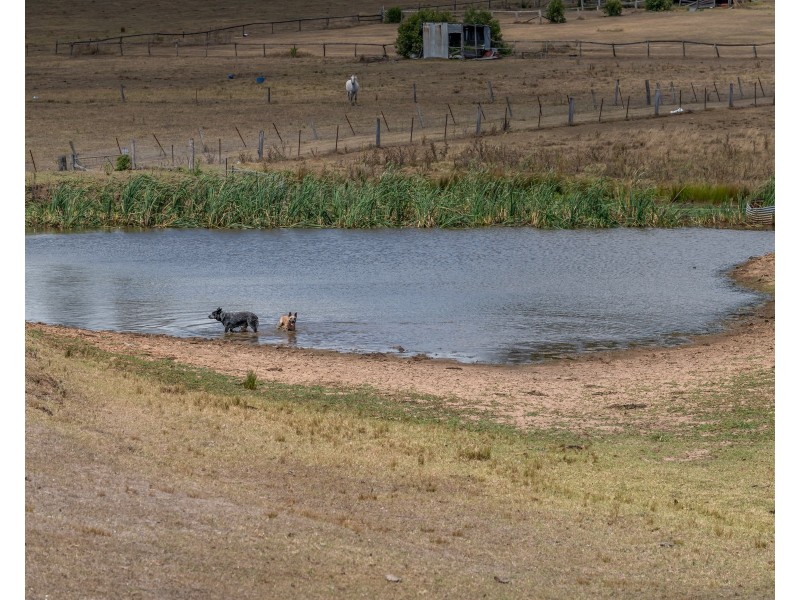 46 Aberglasslyn Lane, Aberglasslyn NSW 2320