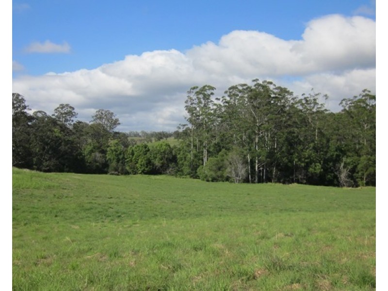 40 Wards Road, Utungun NSW 2447