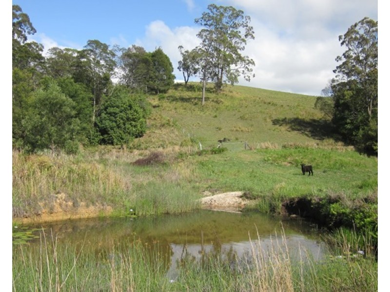 40 Wards Road, Utungun NSW 2447