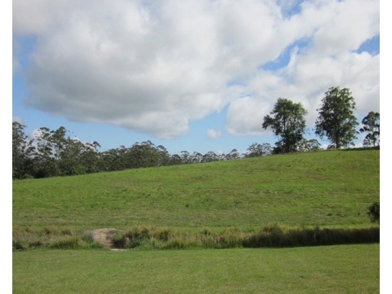 40 Wards Road, Utungun NSW 2447