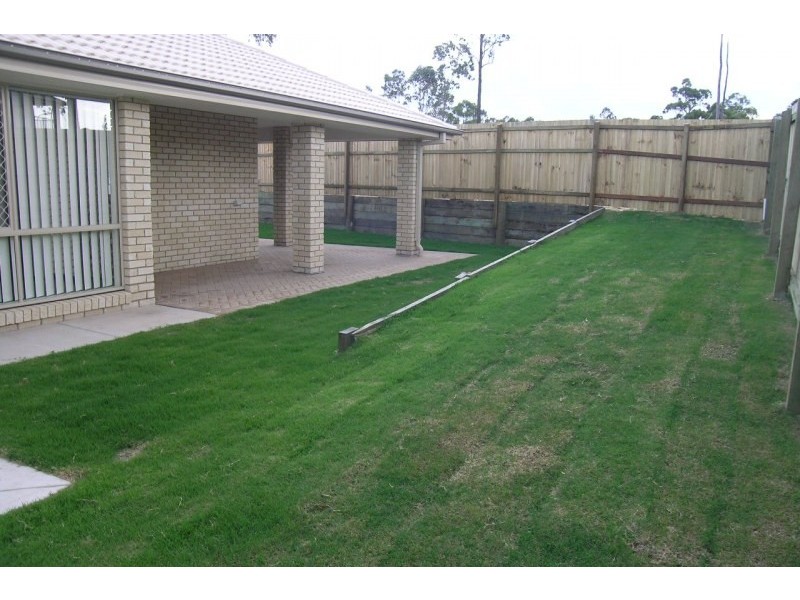 Springfield Lakes QLD 4300