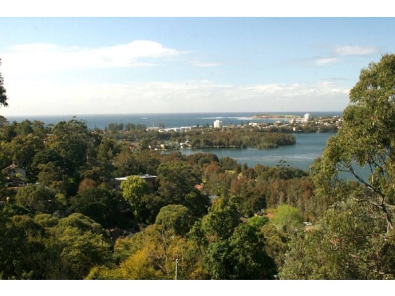 117 Woorarra Avenue, Elanora Heights NSW 2101