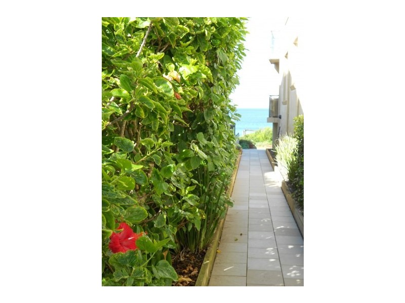 Unit 4/119 Ocean Street, Narrabeen NSW 2101