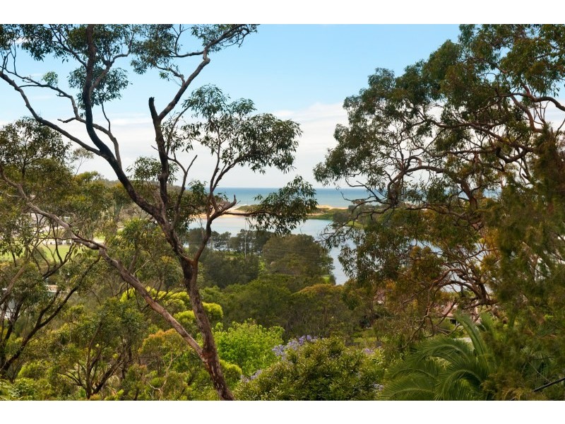 35 Alleyne Avenue, North Narrabeen NSW 2101