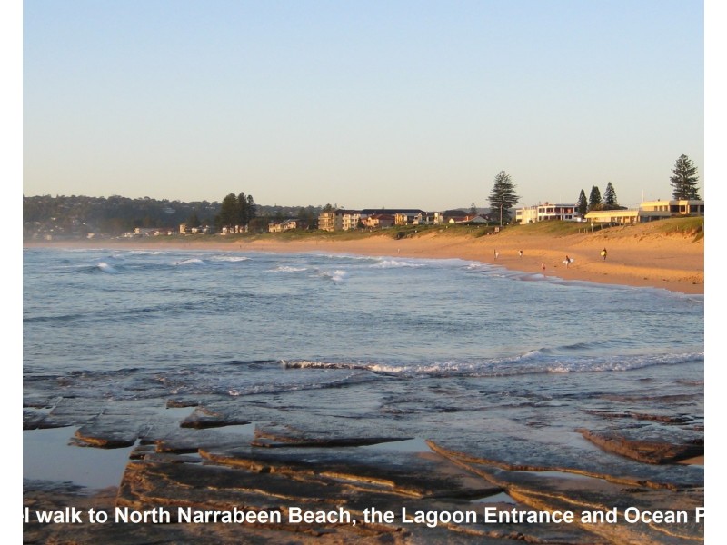 20 Oak Street, North Narrabeen NSW 2101